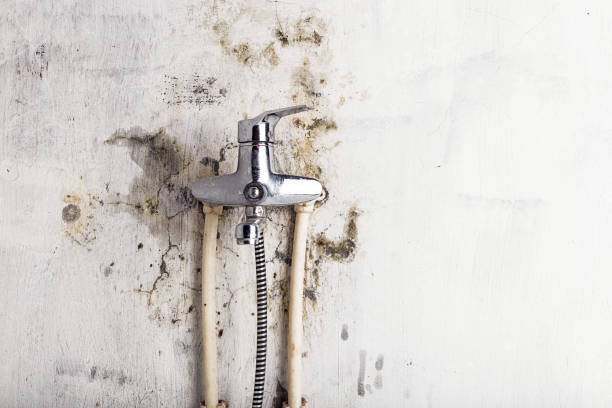 Best Mold Testing  in New City, NY