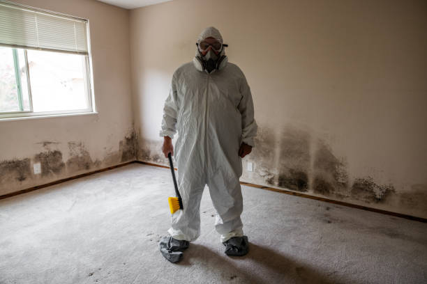 Best Fast Mold Removal  in New City, NY